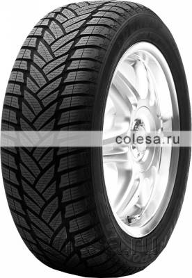 Шина Dunlop SP Winter Sport M3